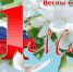 С Днем Весны и Труда ! - Администрация Ленинского района